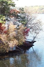 Scenic View of Water