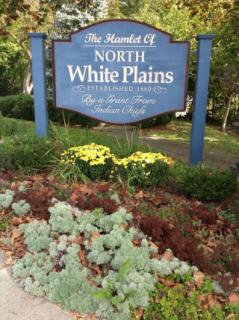 North Broadway, North White Plains - plantings by Green Acres Garden Club